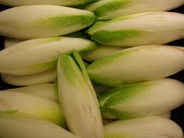 chicory